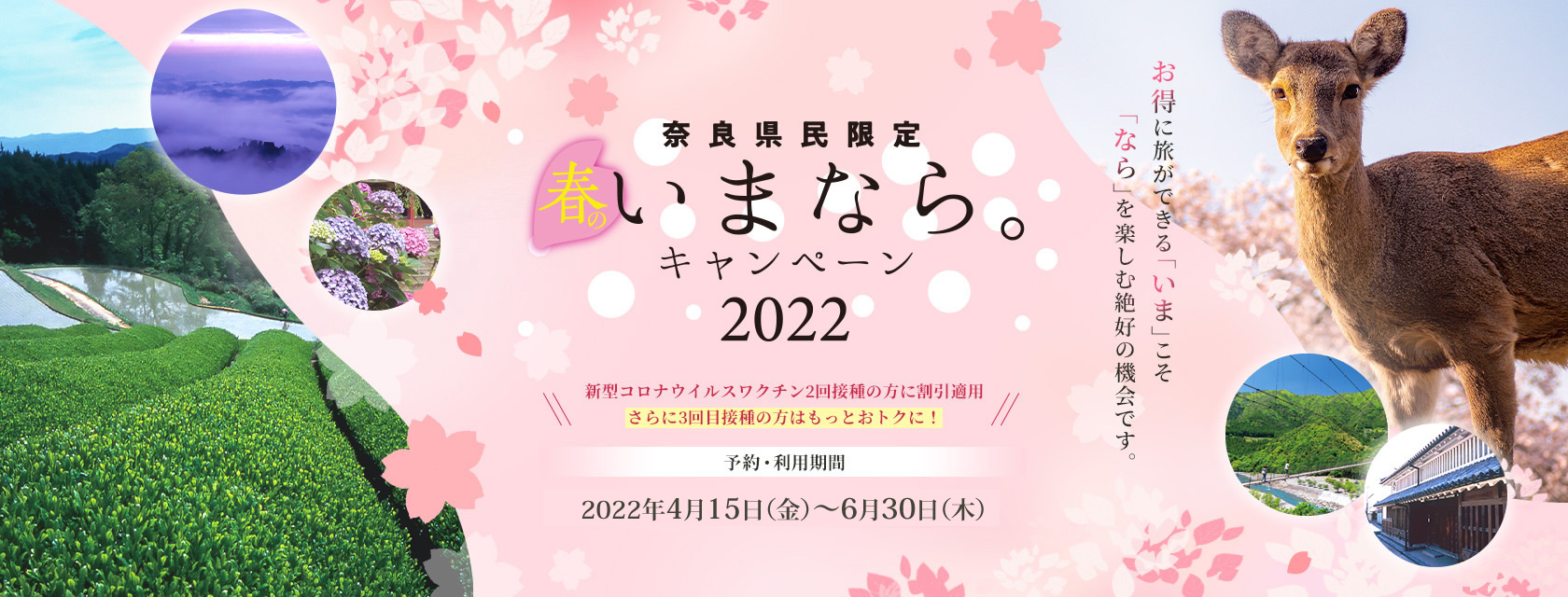 奈良県民限定「春のいまなら。キャンペーン2022」｜奈良県の宿泊割引 